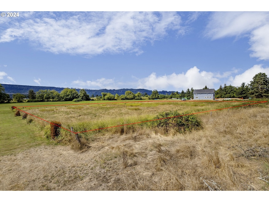 0 S Welcome Slough Rd, Cathlamet, WA 98612 - photo 1