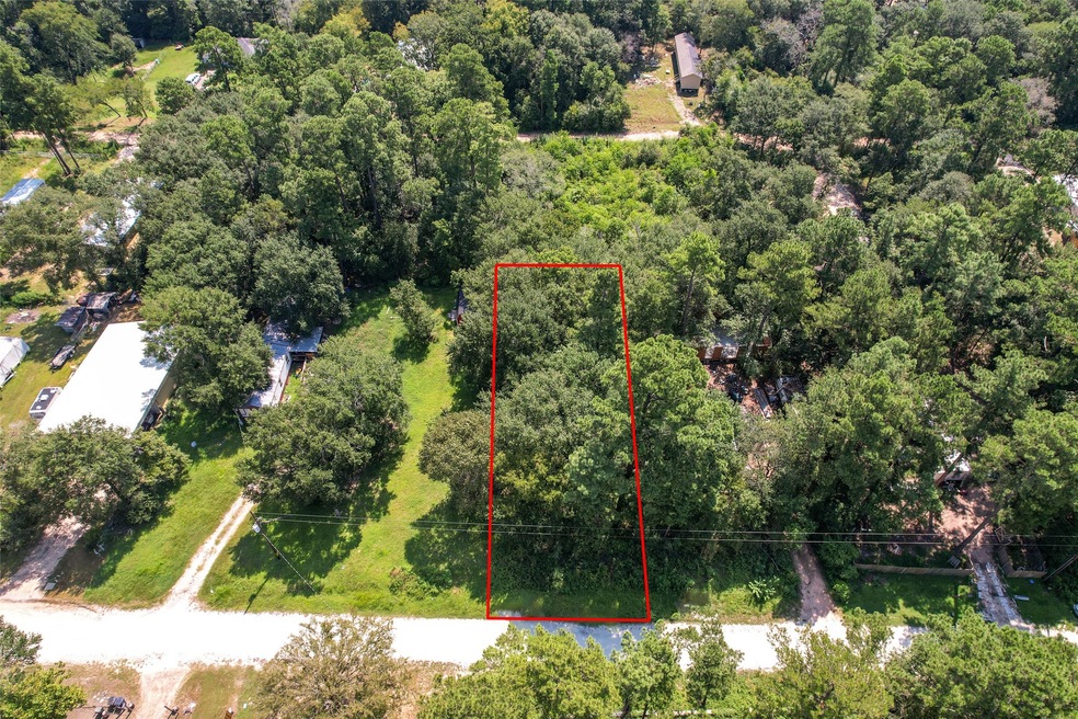 TBD Mossyknoll Dr, Plantersville, TX 77363 - photo 1