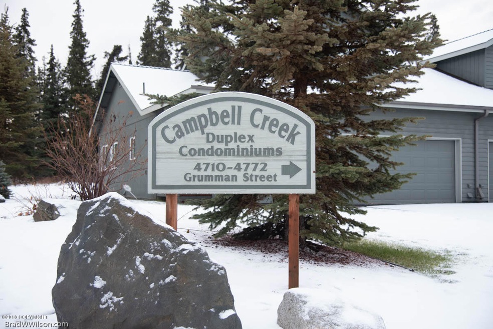 Near Campbell Creek