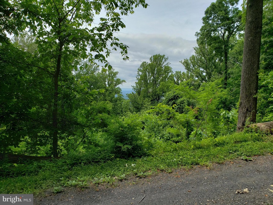 0 Lot 472 Pickford Ct unit VAWR2003334, Front Royal, VA 22630 - photo 1