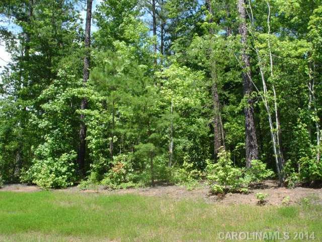 Lot 61 Firethorn Ct, Denver, NC 28037 - photo 1