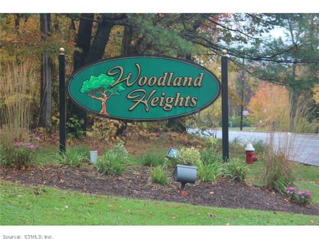 198 Woodland Dr unit 198, Cromwell, CT 06416 - photo 1