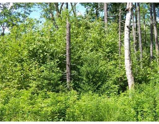 Land/Lot.