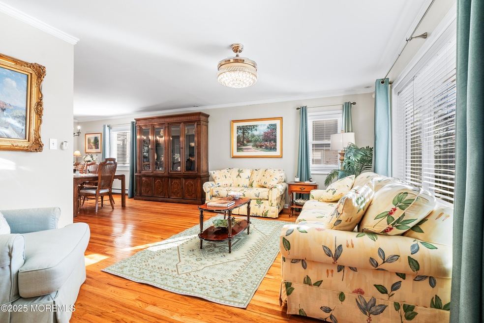 Sunlit Living Room