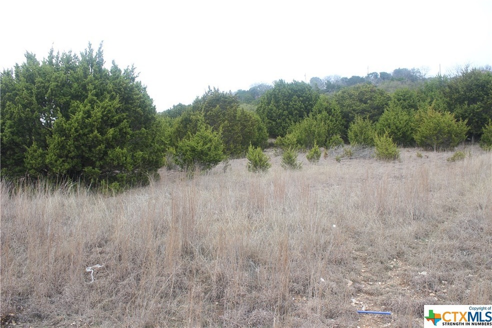 000000 Pecan Cove, Copperas Cove, TX 76522 - photo 1