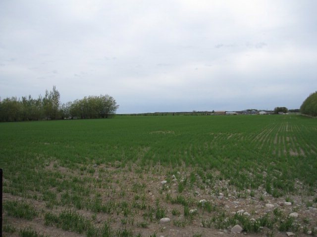 Main View