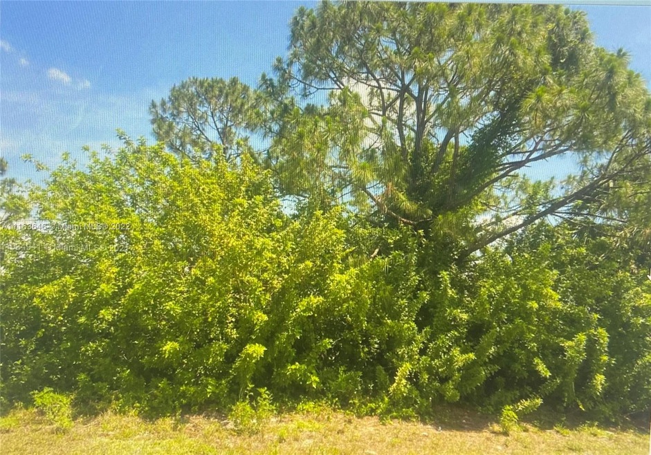 3318 W 53rd St, Lehigh Acres, FL 33971 - photo 1