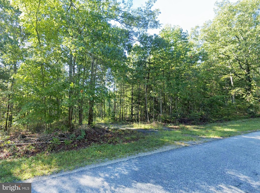 6067 Laurel Rd, Shipman, VA 22971 - photo 1