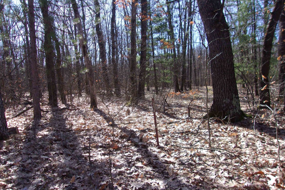 NHN Vanden Trail, Lincoln Township, MI 48625 - photo 1