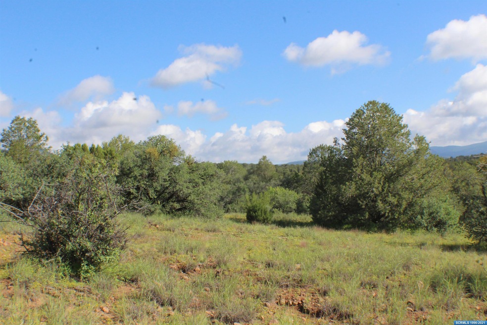 91xx Hideaway Trail, Silver City, NM 88061 - photo 1