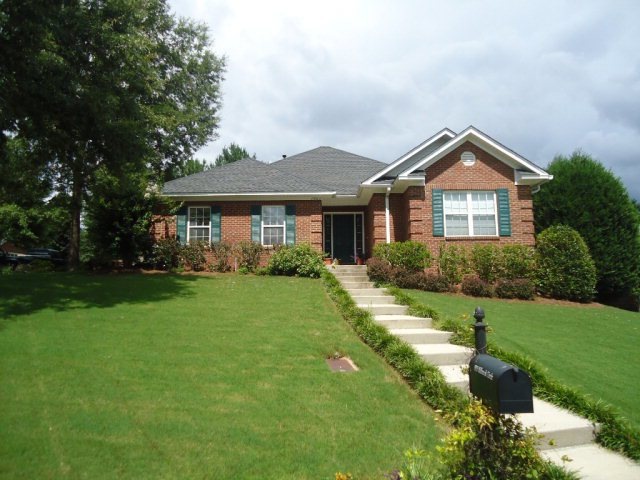 Main View