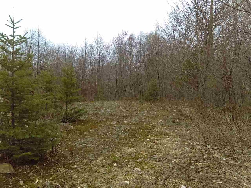Lot 67 Hampshire Woods Loop, Errol, NH 03579 - photo 1