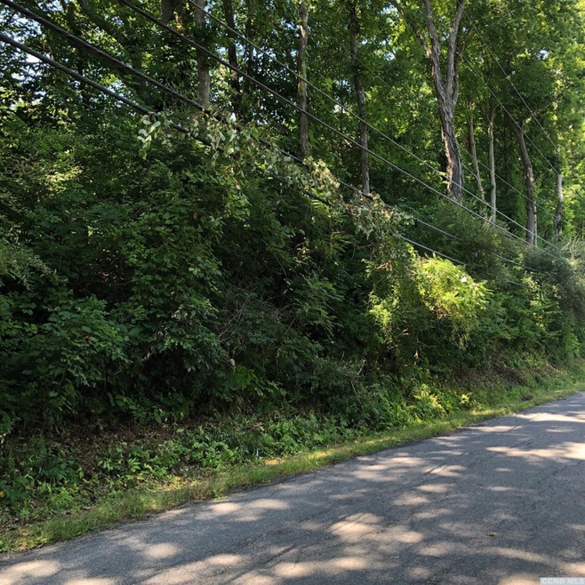 0 Old Route 82 unit 133687, Taghkanic, NY 12521 - photo 1