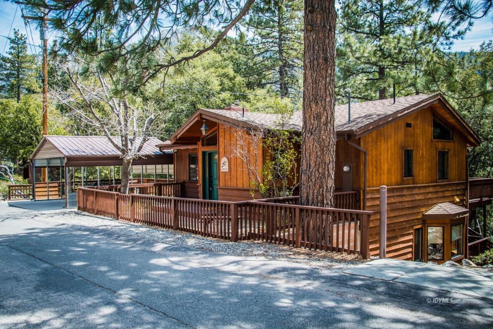 Treetop living in the mountains