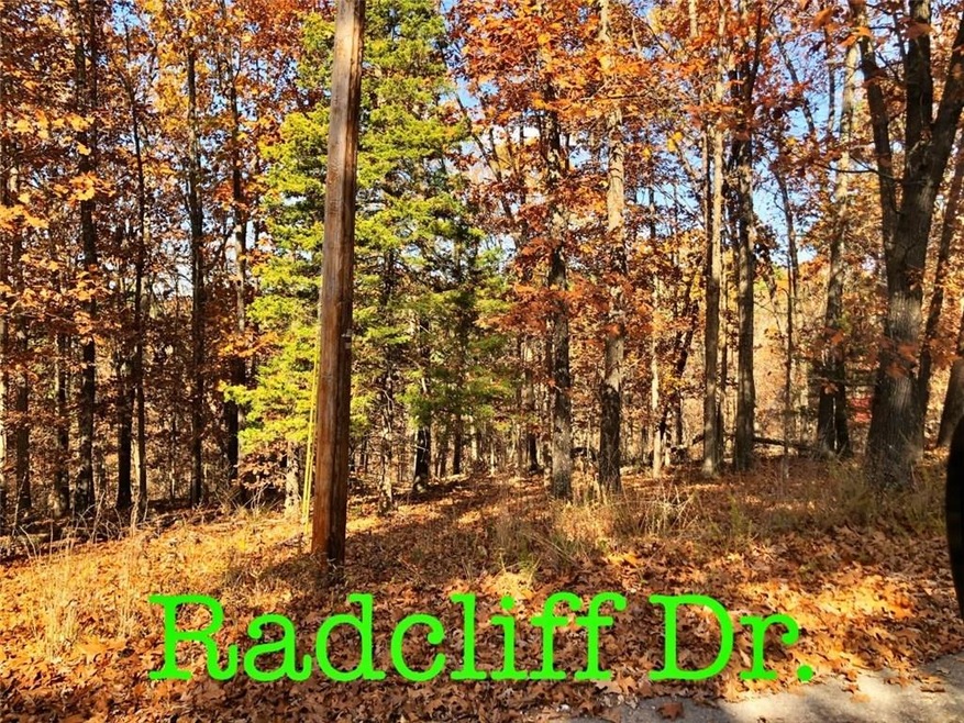 -- Radcliffe Dr, Bella Vista, AR 72714 - photo 1