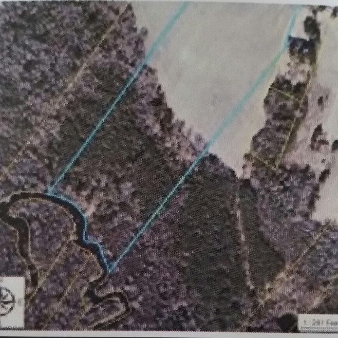deep branch lot-2