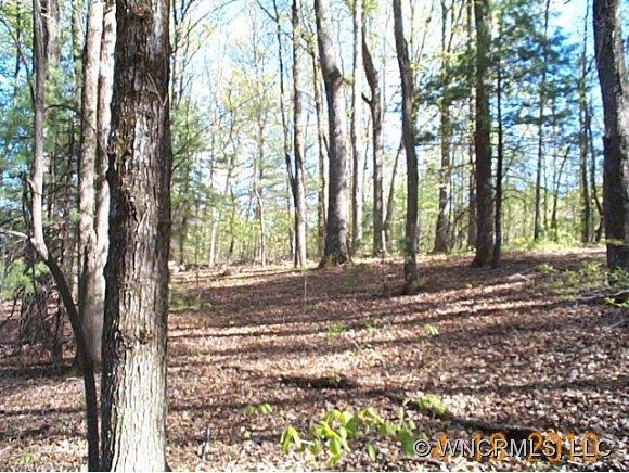 00 Seay Rd, Candler, NC 28715 - photo 1