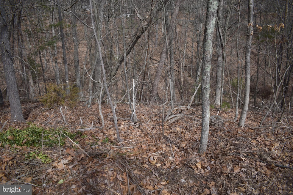 0 Nicklaus Dr unit VASH2007924, Basye, VA 22810 - photo 1