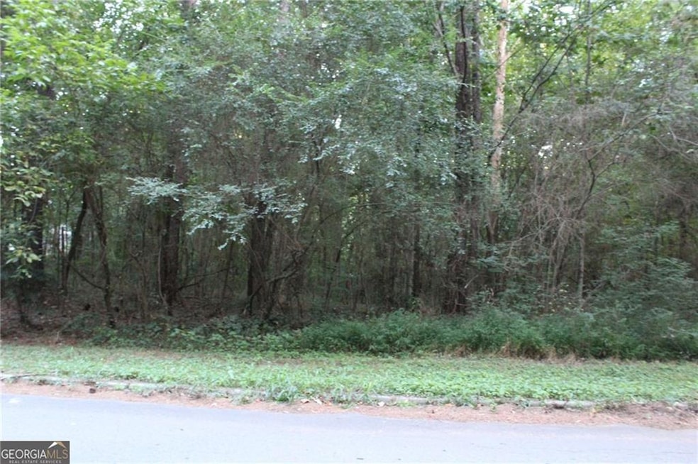 View of asphalt road with a forest view