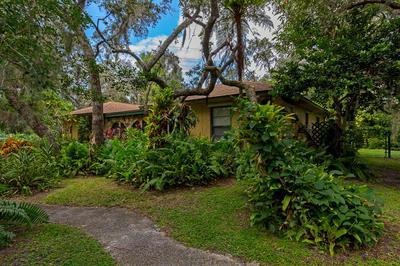 Florida Native