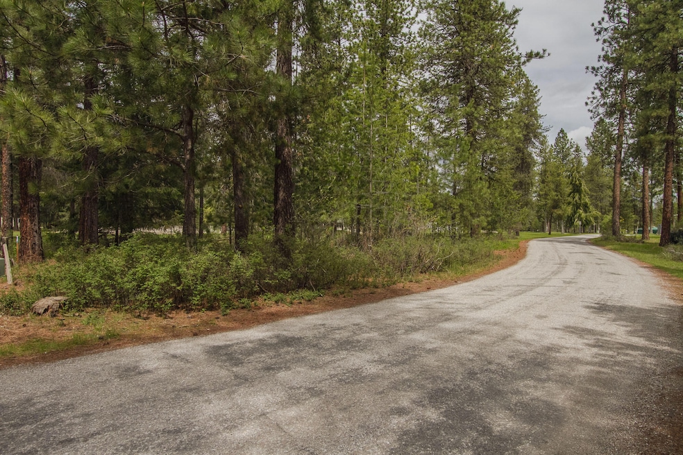 202 Eagle Dr, Chewelah, WA 99109 - photo 1