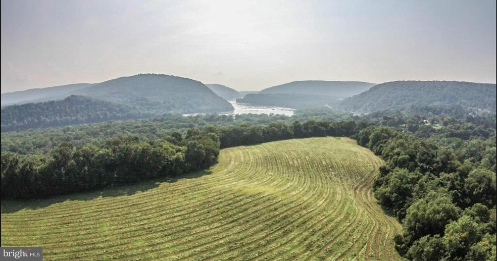 0 Jefferson Pike unit 1000240744, Knoxville, MD 21758 - photo 1