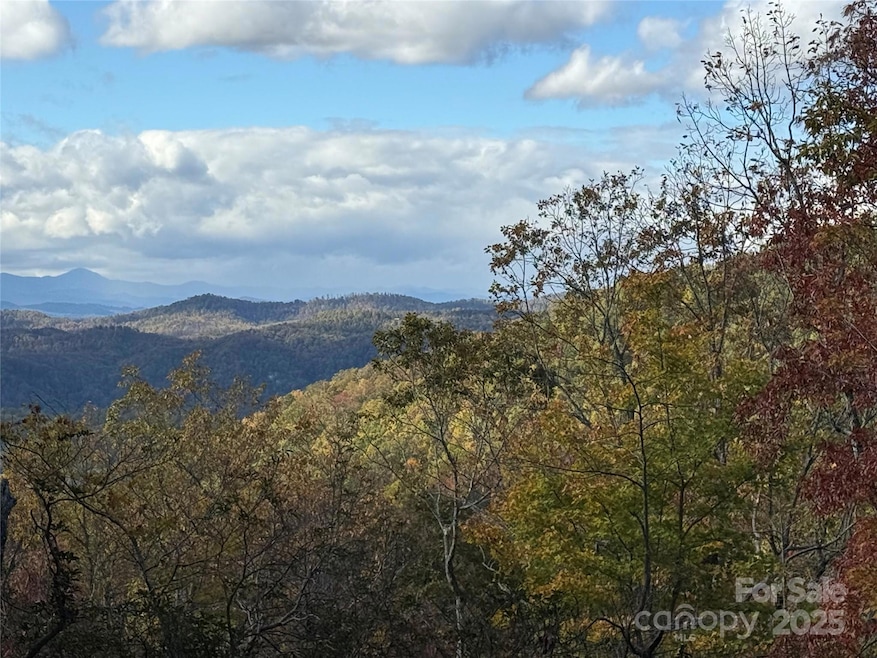 Lot 6 Miller Mountain Rd unit 6, Saluda, NC 28773 - photo 1