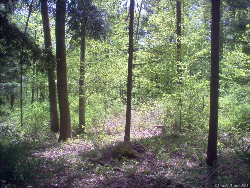 498 Route 7, Sharon, CT 06069 - photo 1