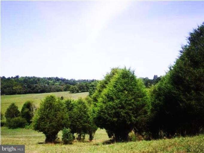 24192 Montvue Ln, Orange, VA 22960 - photo 1