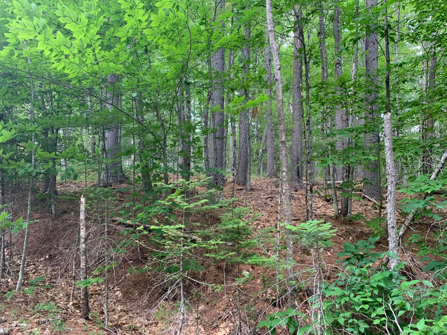 Lot 26 Mockingbird Ln, Bridgton, ME 04009 - photo 1