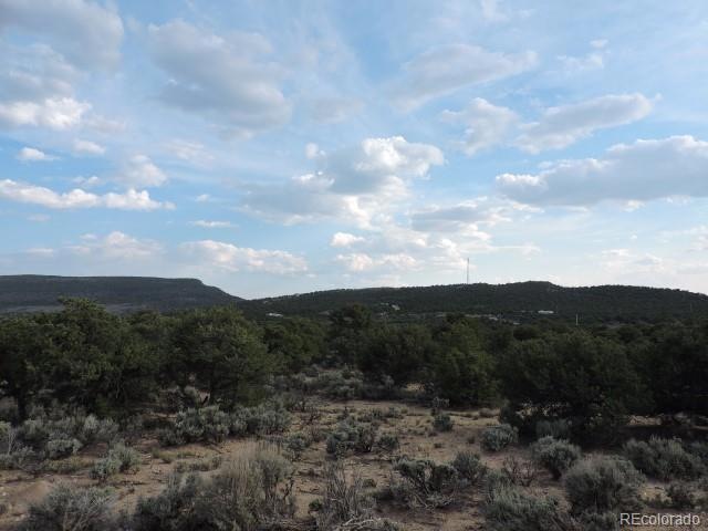 3788 Regan Place, Fort Garland, CO 81133 - photo 1