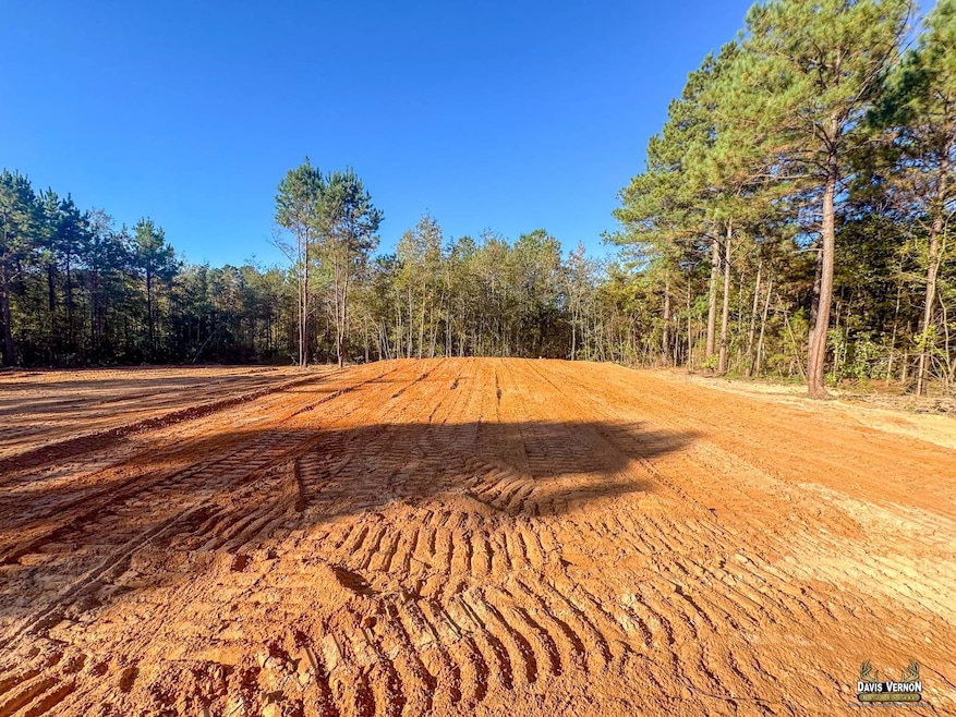 12068 Farm To Market 130, Hughes Springs, TX 75656 - photo 1