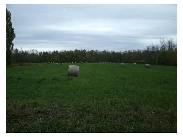 Land