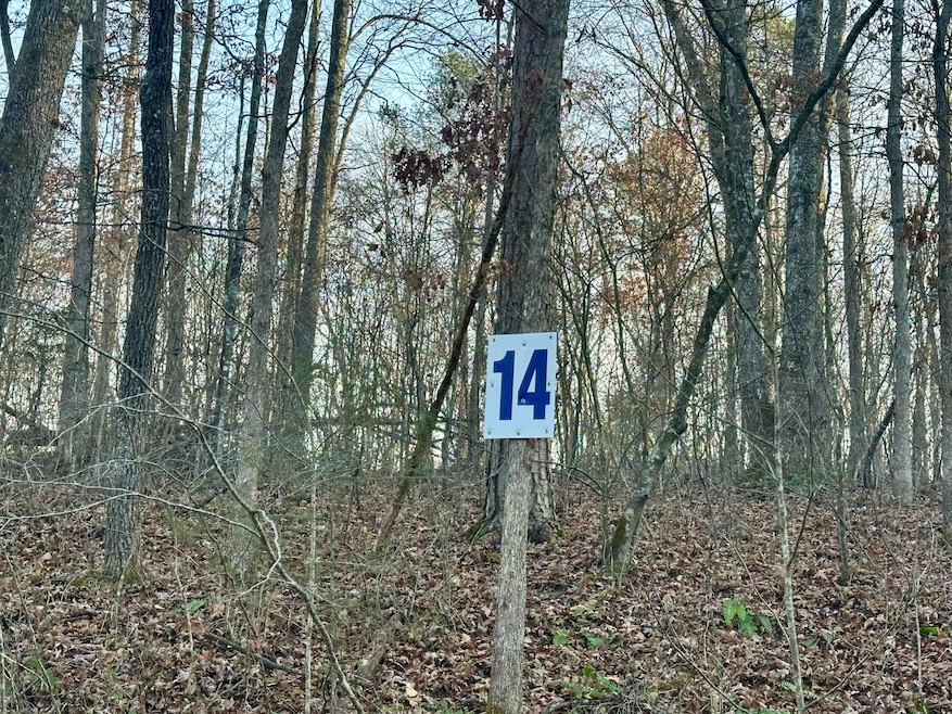 Lot 14 Hensley Rd, East Bernstadt, KY 40729 - photo 1