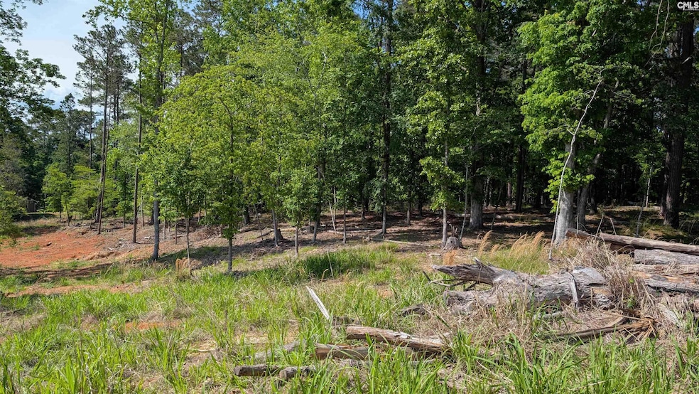 TBD Rolling Hills Rd, Ridgeway, SC 29130 - photo 1