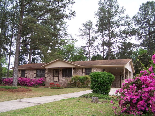 Main View