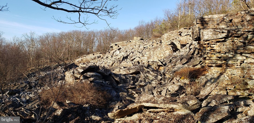 265 S Branch Mountain Rd, Moorefield, WV 26836 - photo 1