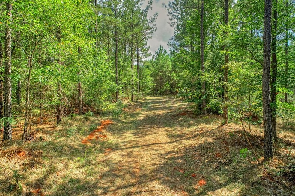 55 Ac C E Norman Rd, Lincolnton, GA 30817 - photo 1