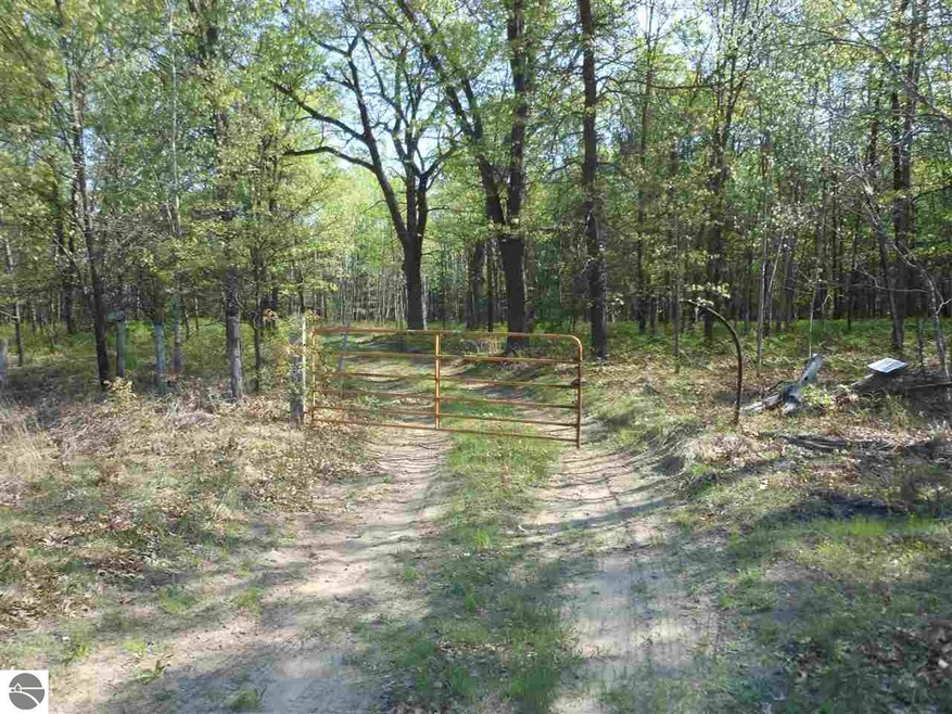 0 Powerline Rd unit 1847246, Whittemore, MI 48770 - photo 1