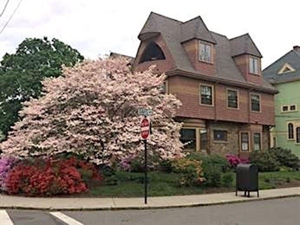 205 Davis Ave unit 2, Brookline, MA 02445 - photo 1