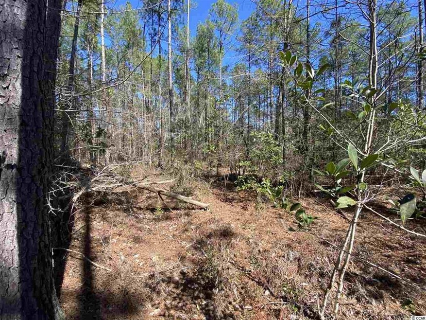 TBD 11.7 Wilderness Ln, Loris, SC 29569 - photo 1