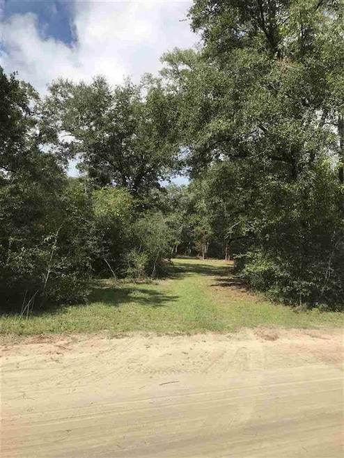 66 Lonesome Rd, Crawfordville, FL 32327 - photo 1
