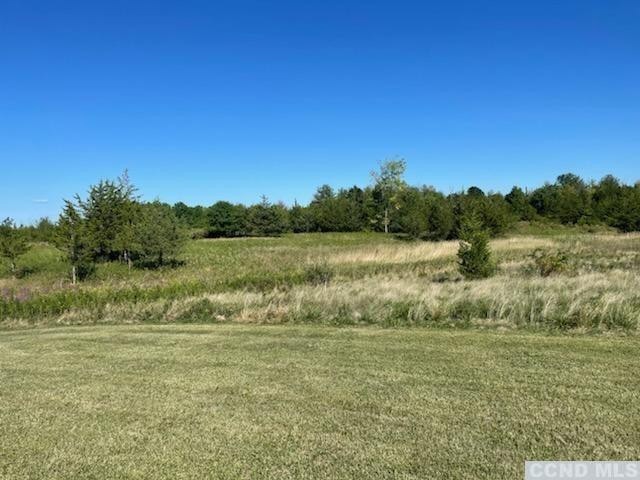 12 Hillside Dr, Athens, NY 12015 - photo 1