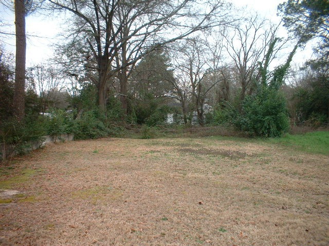 Main View