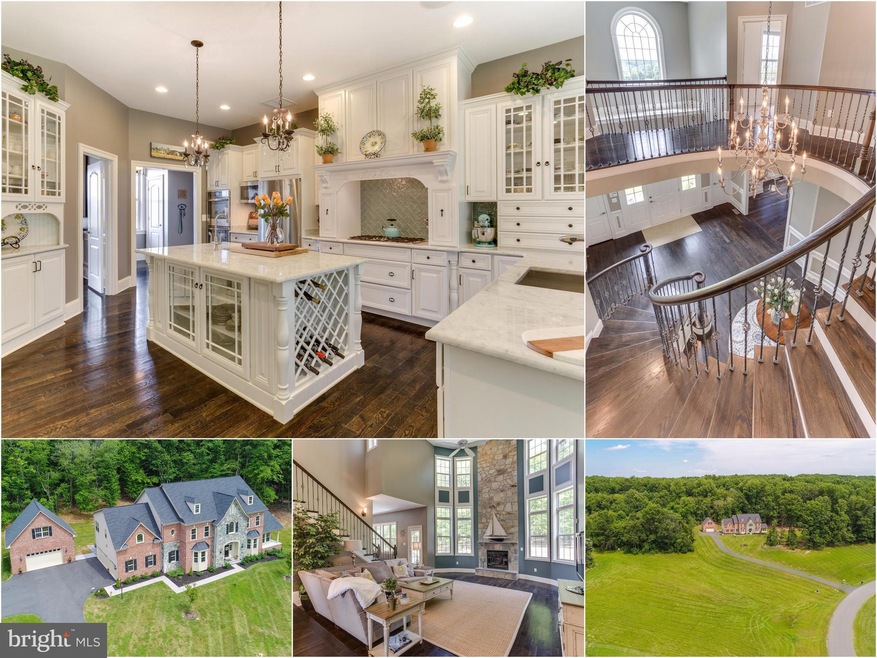 20480 Stone Fox Ct, Leesburg, VA 20175 - photo 1