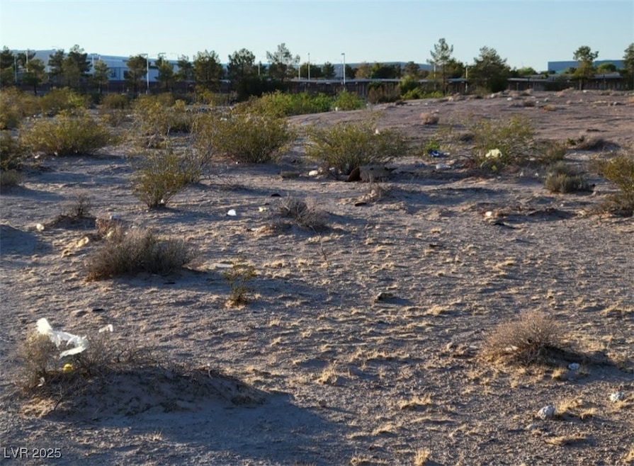 View of undeveloped land
