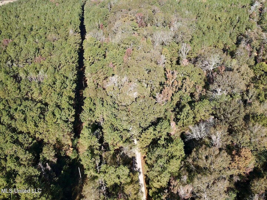 1088 Freeman Rd, Magnolia, MS 39652 - photo 1