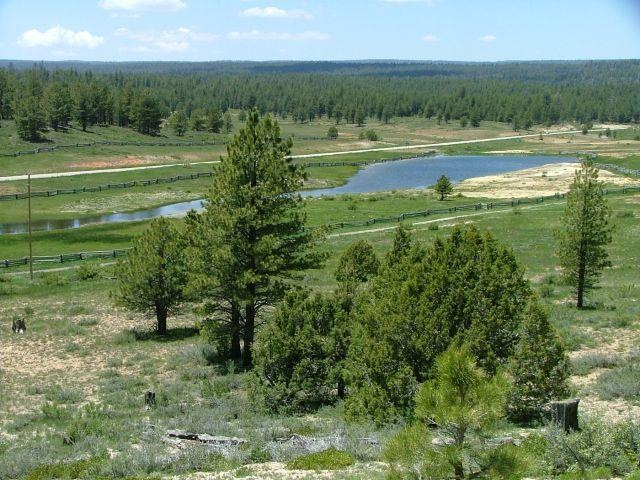 1-GD-Small Pond in Area