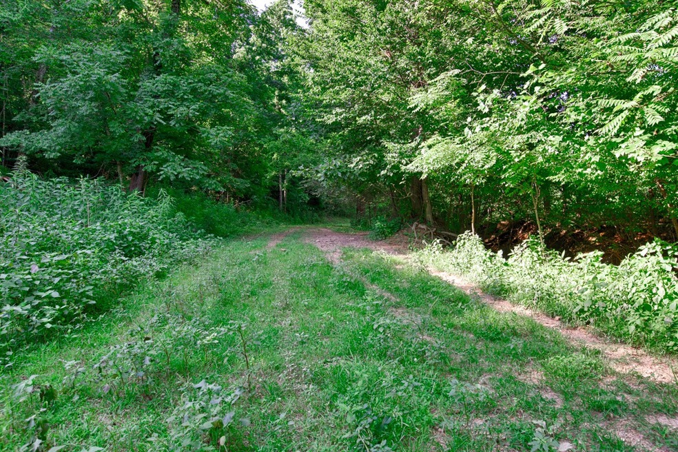 0 Shoal Creek Rd unit 2171613, Goodspring, TN 38460 - photo 1