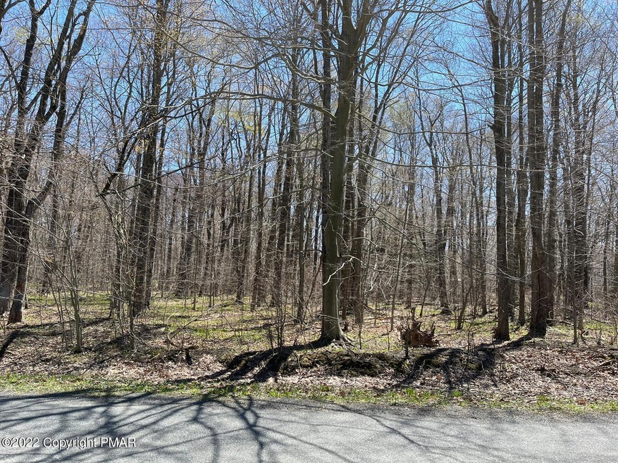 25 Annette Marie, Long Pond, PA 18334 - photo 1